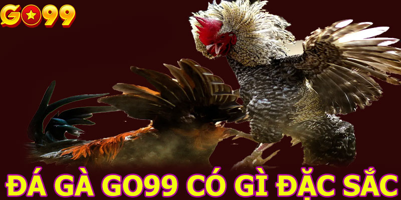 Đá Gà GO99 có gì đặc sắc