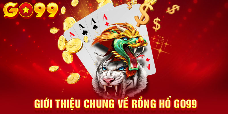 Giới thiệu chung về rồng hổ GO99